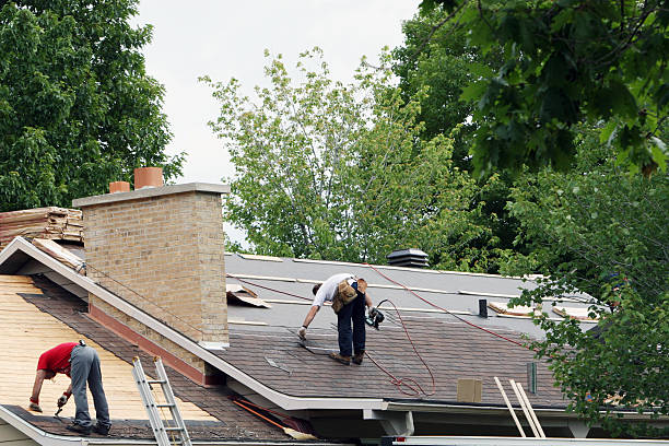Best Storm Damage Roof Repair  in Nottingham, PA